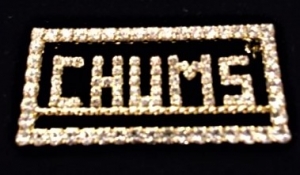 CHUMS Swarovski Crystal Pin in Rectangular Frame