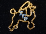 SIGMA GAMMA RHO 2 COLOR "BLING" LAPEL PIN GOLD 