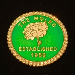 GREEN  MOLES lapel pin with CARNATION and Crystals