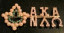 AKA 20 Pearls Ivy Leaf NU LAMBDA OMEGA Chapter Pin...